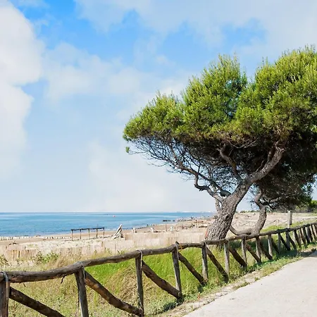 Bright Flat With A Large Balcony * Бибионе